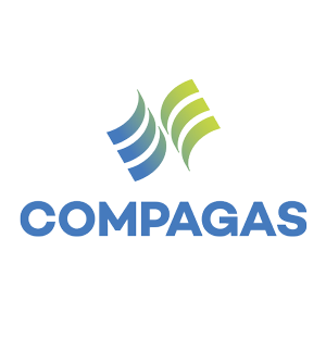 COMPAGAS300