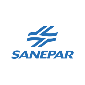 sanear300