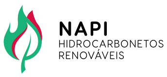 02. NAPI - Logo Horizontal