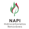 napi300